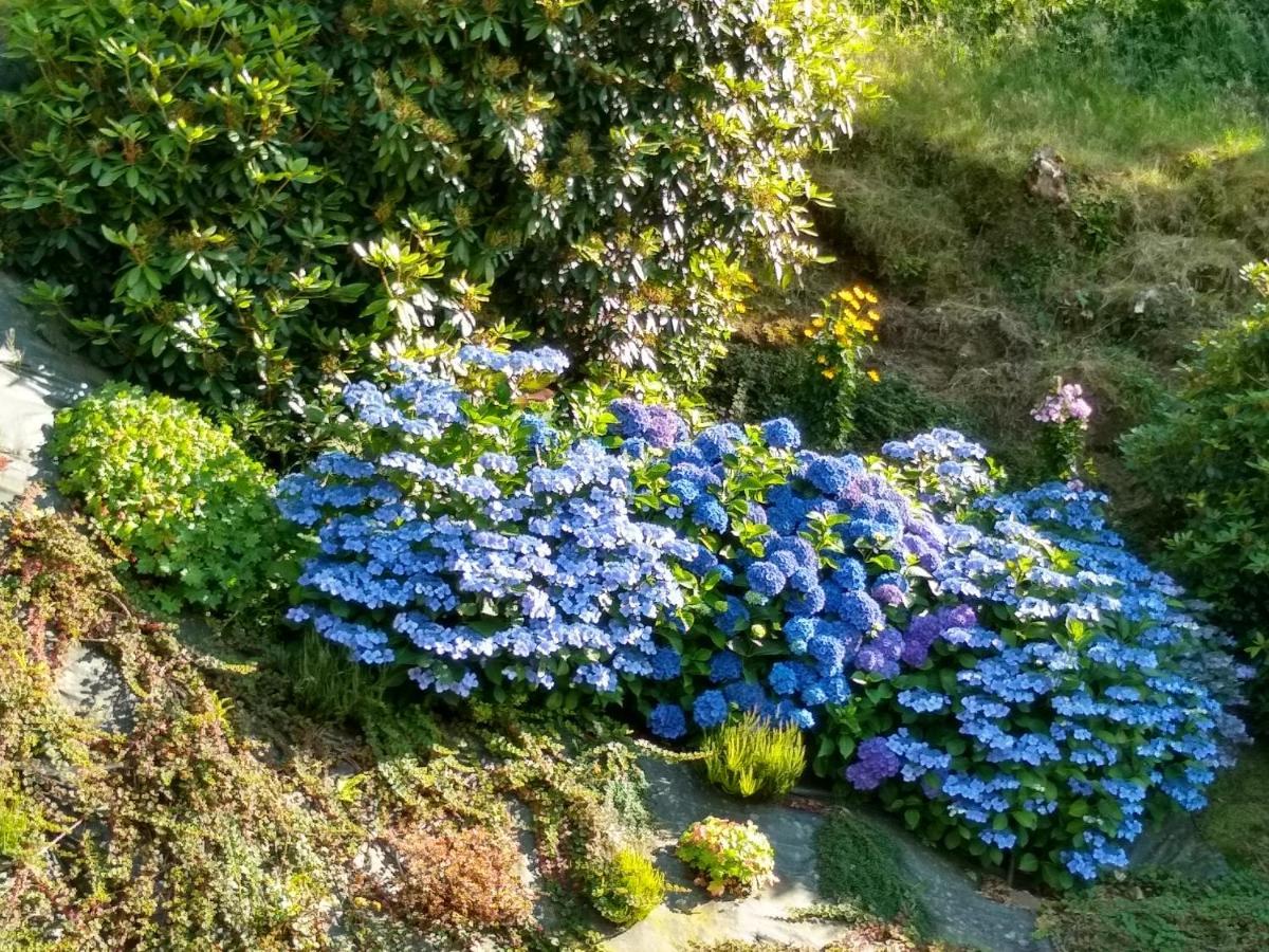 Les Hortensias La Poultiere Екстериор снимка